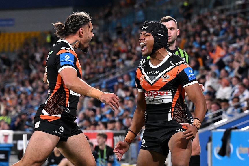 Heamasi Makasini shouts to celebrate a try for the Tigers.