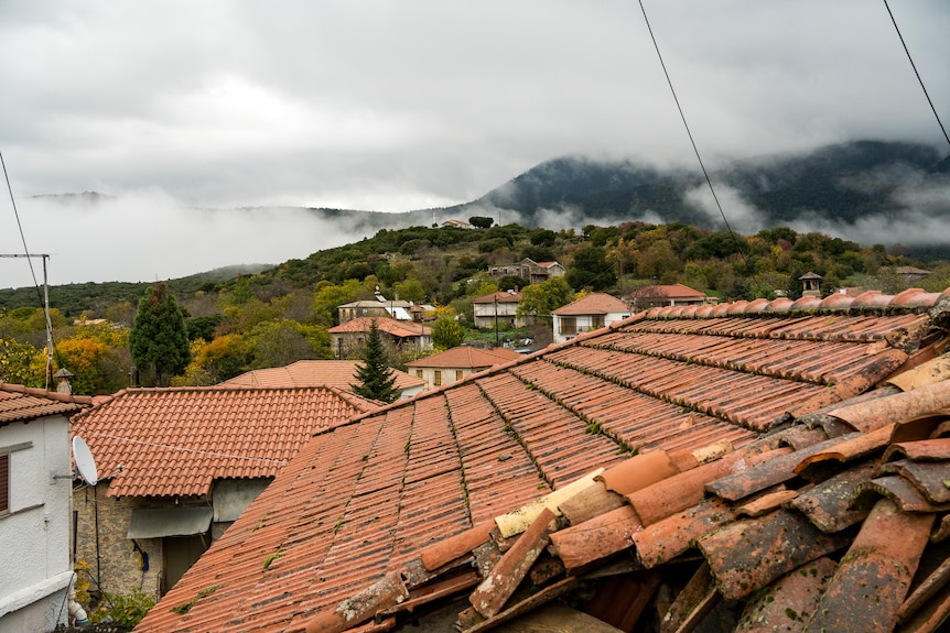 Red till roofs of the Arcadia village.