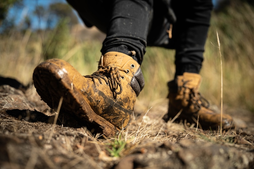 Close up of brown boots, black pants, on a patch of grass and dirt, boots stained with water.