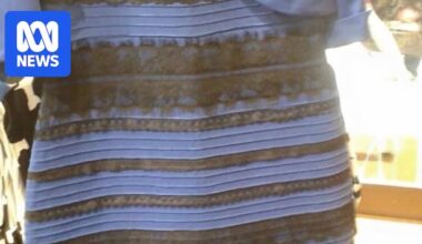 ABC 50/50 quiz: This week we're testing your knowledge of 80s punk rock, Harry Potter spoilers and that internet dress