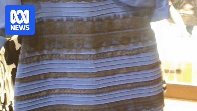 ABC 50/50 quiz: This week we're testing your knowledge of 80s punk rock, Harry Potter spoilers and that internet dress