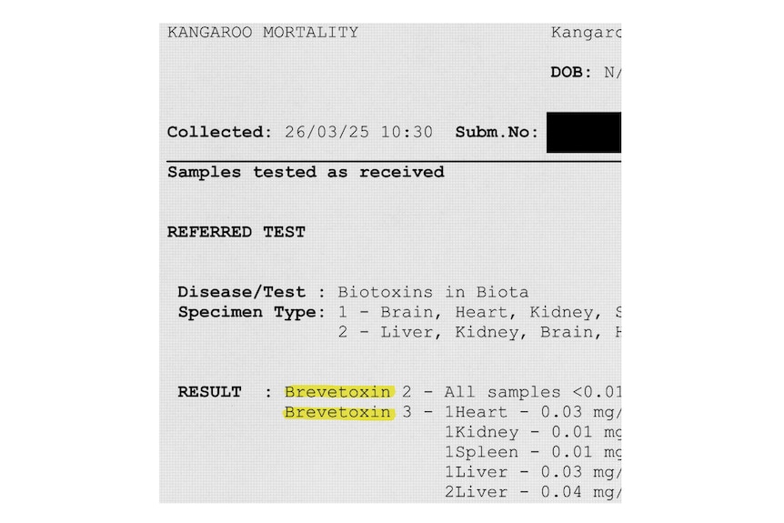 An excerpt from a pathology report for a kangaroo. Highlighted twice is the word 'Brevetoxin' next to a list of organs.