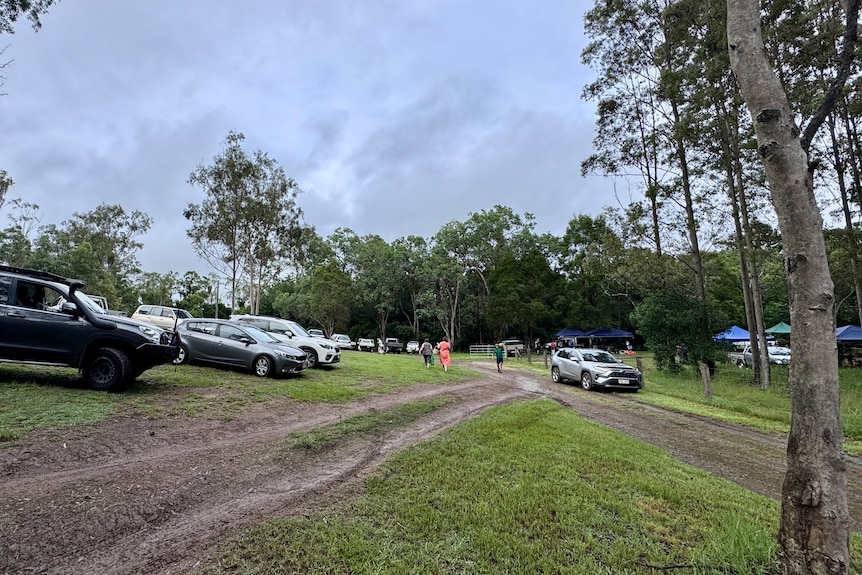 Cars parked on a slope with marques in the distance.