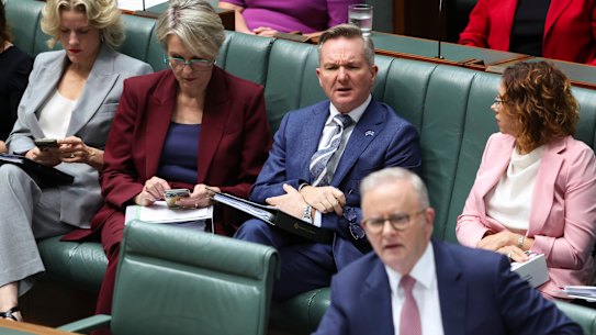 Prime Minister Anthony Albanese and Energy Minister Chris Bowen in parliament on Thursday.