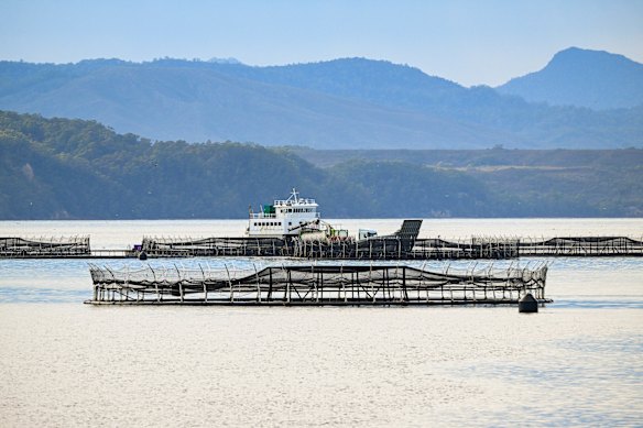 Salmon farming in the waters of Macquarie Harbour in the south-west of Tasmania.