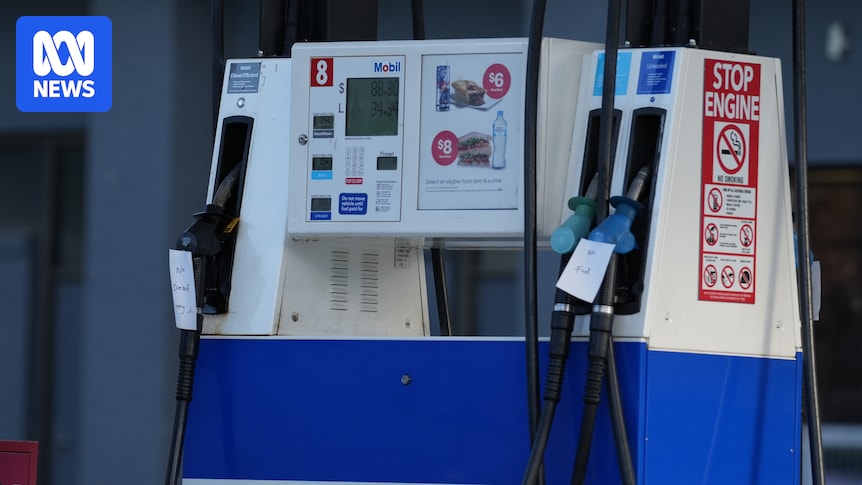 ACT politicians vote against reducing public transport fares to 50 cents amid surging fuel prices