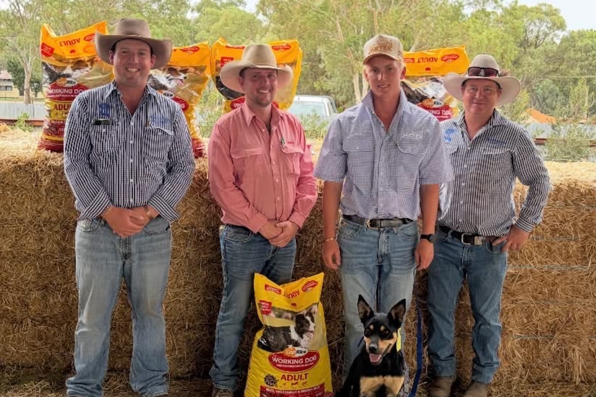 A group of men in wide-brimmed hats stand with a bag of dog food and a kelpie.