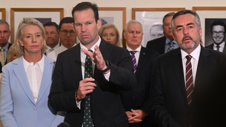 Matt Canavan says we need ‘more Australian everything’ in first speech as Nationals leader – video