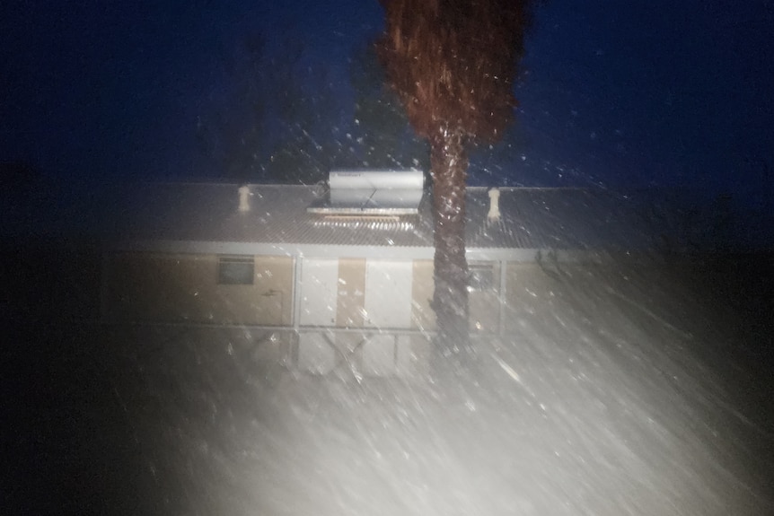 Dark photo of rain tree and cabin
