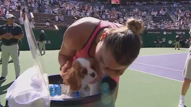 Aryna Sabalenka helps Ash cool down.