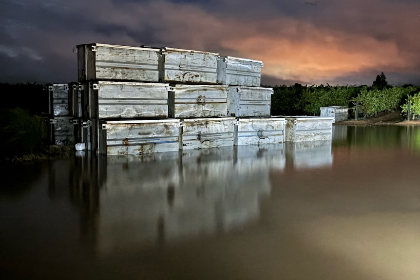 Metal bins with flooding in the vineyard.