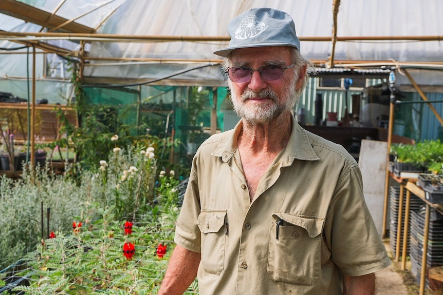 A man in a khaki button up shirt and blue cap stands inside a hot house with several different crops of small plants.