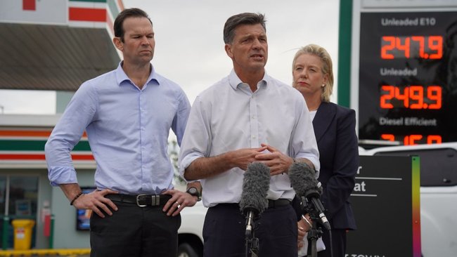 Taylor has said the Coalition will soon release their immigration policy