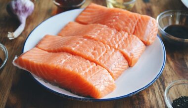 How salmon politics trumped the environment in Macquarie Harbour, Tasmania