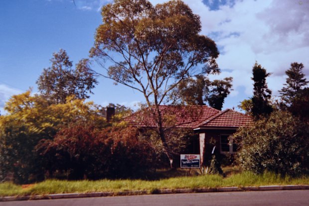 The Eastwood property with its overgrown yard. 