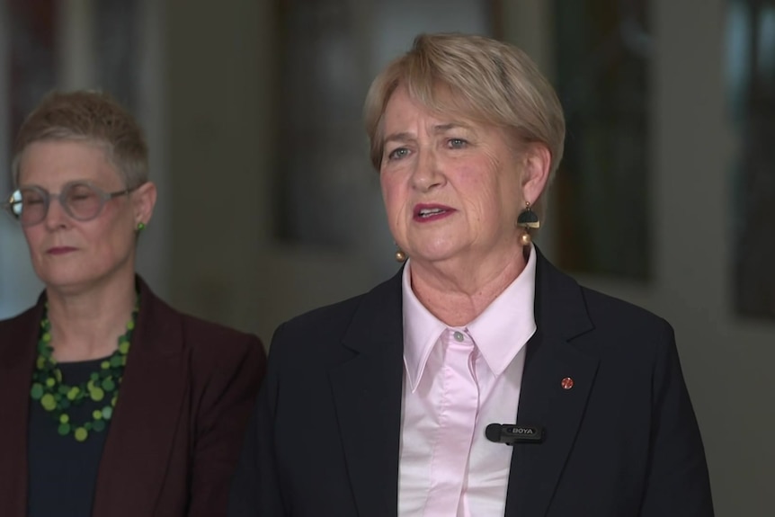 Greens senator Barbara Pocock speaking to reporters in Canberra on Thursday.