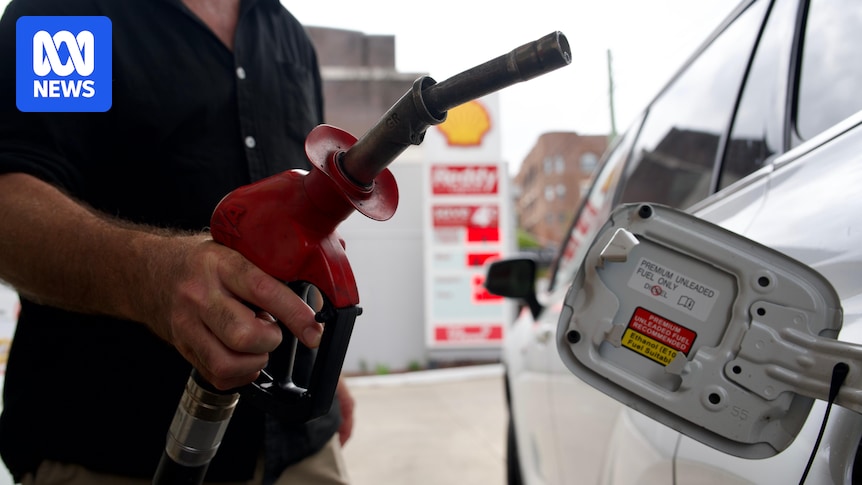 From the Gulf War of the 1990s to the 2020 pandemic, global crises generally follow a predictable path