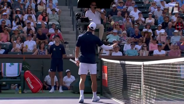 Novak Djokovic pleas with the umpire after a rival's act of hinderance.