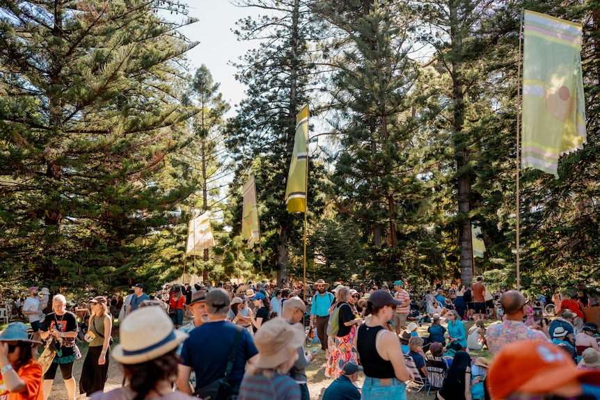 A large crowd gathers among tall trees at an outdoor festival, with flags and people relaxing in the shade.