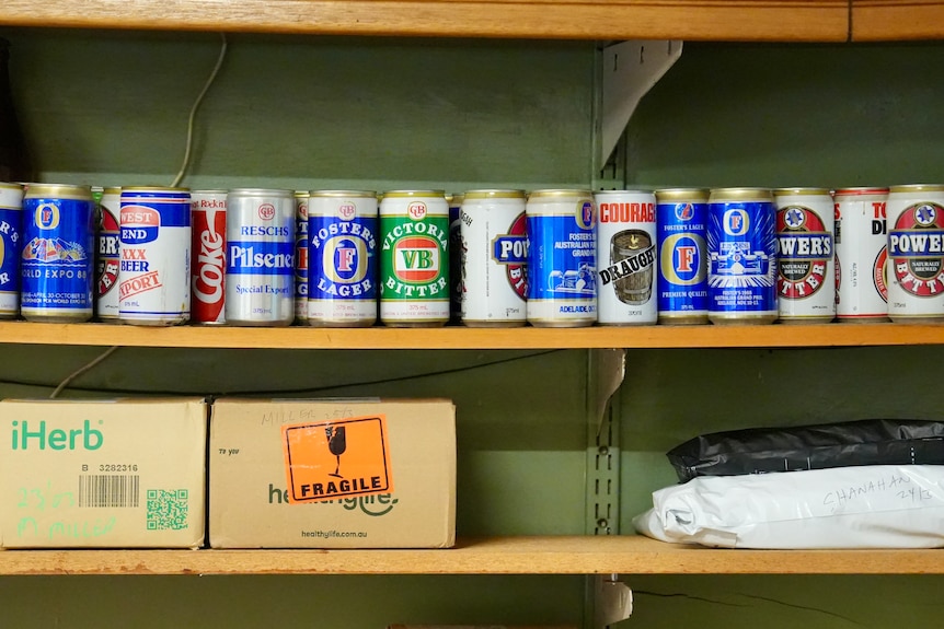 A line of single beer cans on a shelf.