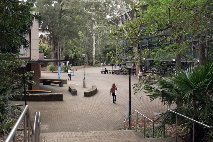 A couple of students walk through a nearly empty university campus. It is surrounded by trees.