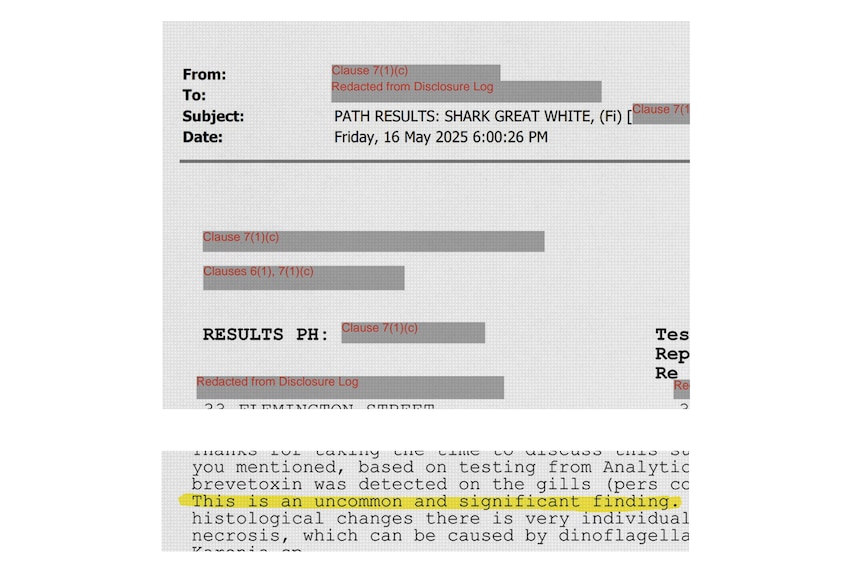 A graphic excerpt of an email. A line is highlighted which reads 'this is an uncommon and significant finding'.