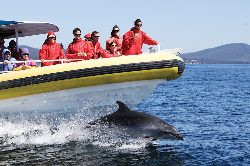 Tourists, wearing red spray jackets, take photos from a boat.