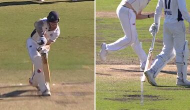 Calls for DRS to be sued after controversial calls in Victoria vs South Australia