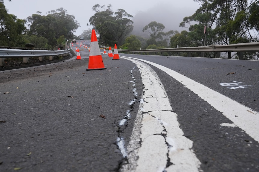 Cracks on the white lines of a black road with orange witches' hats in background.