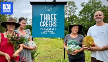 Popular farmers' market facing eviction over public liability stand-off with council