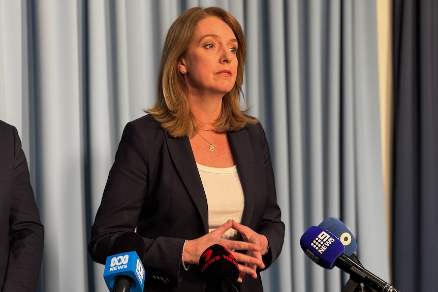 Kellie Sloane Member for Vaucluse stands behind a microphone talking to the media