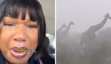 One woman was so moved by the clip, she shared her own video showing herself in floods of tears. Picture: TikTok/@missferg