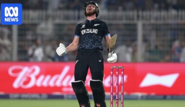 New Zealand posts nine-wicket win over South Africa to reach men's T20 World Cup final