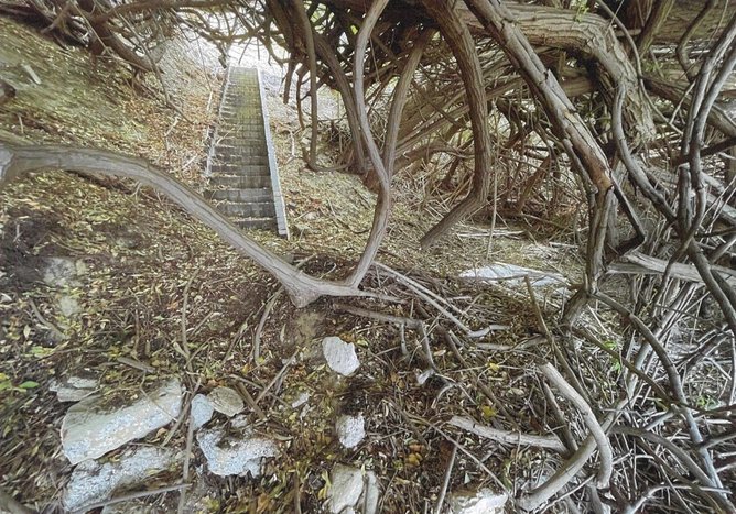 A photo of the current staircase existing at the back of 26 Jutland Parade