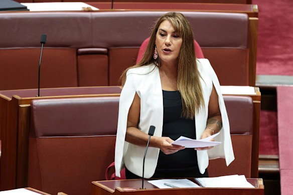 Senator Lidia Thorpe accused Labor of political point-scoring