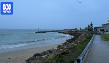 Three New South Wales fishermen found dead off SA's Beachport