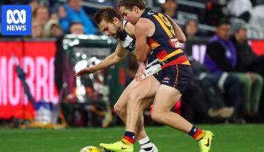 AFL admits Adelaide wronged by crucial umpire error late in Crows' defeat to Geelong
