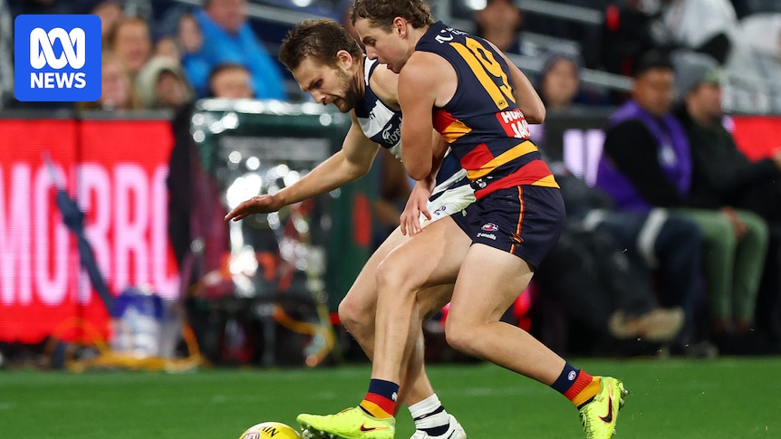 AFL admits Adelaide wronged by crucial umpire error late in Crows' defeat to Geelong