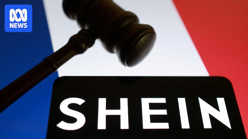 France bids to suspend Shein over childlike sex dolls