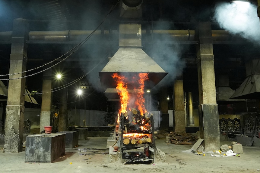 wood underneath coffin.