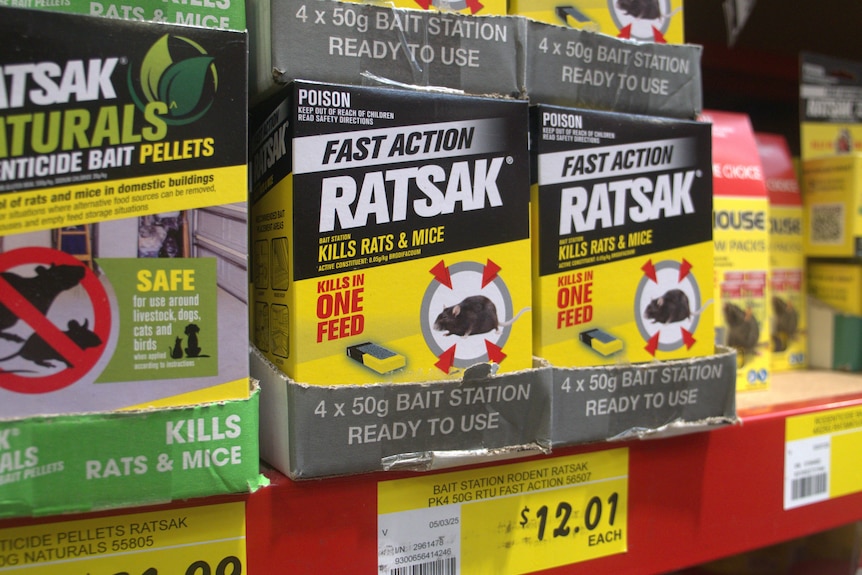 Packets of ratsak on a shelf.