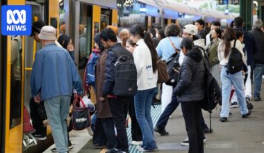 Public transport fare reduction, work-from-home mandates unlikely as NSW grapples with fuel price hike