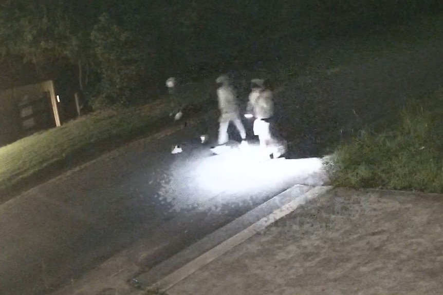 Baghsarian new CCTV grab