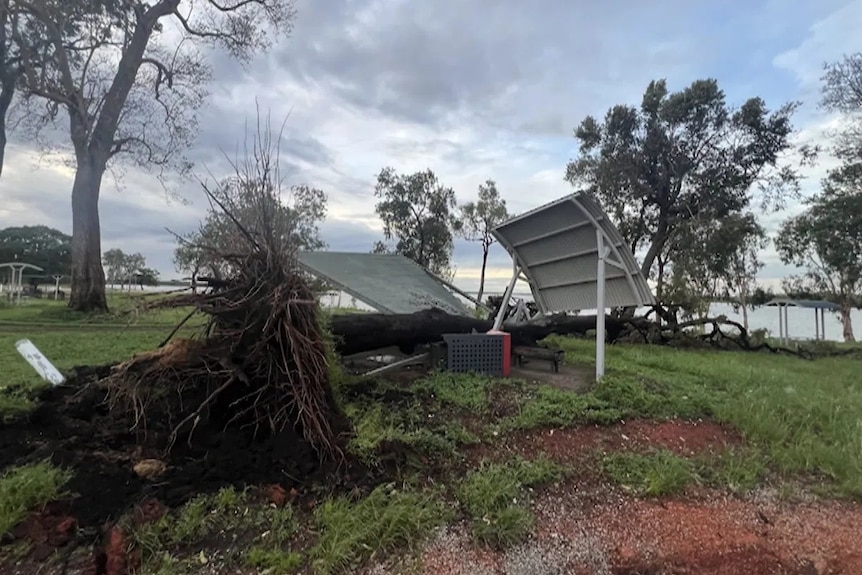 A large tree and its root system that has fallen on picnic area.