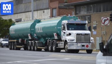 Diesel sales surge on home deliveries, while E10 and LPG sales plunge