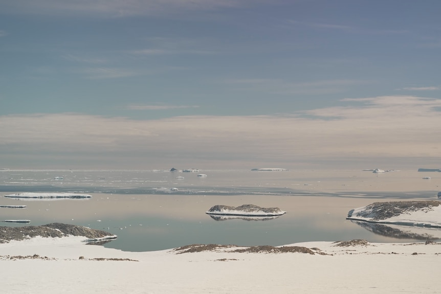 Dawn at Casey Station, Antarctica 2025-11-30