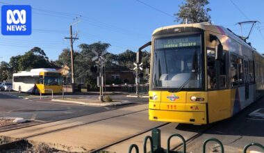 SA rules out free public transport, for now, as dozens of servos run out of some fuels