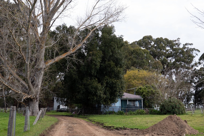 A dirt driveway leading up to a blue weatherboard house surrounded by trees.
