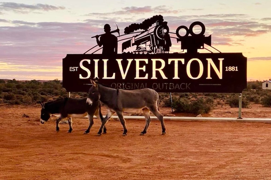 Two donkeys walk past a sign that reads 'Silverton' at sunset. 