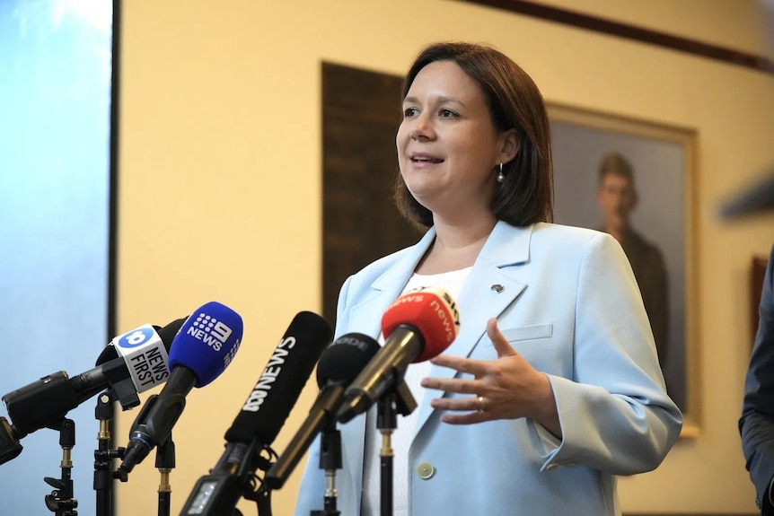 Heidi Girolamo speaks into several microphones. She has shoulder length brown hair and wears blue blazer. Her hands move.